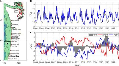 Water temperature variability in the Coos Estuary and its potential link to eelgrass loss